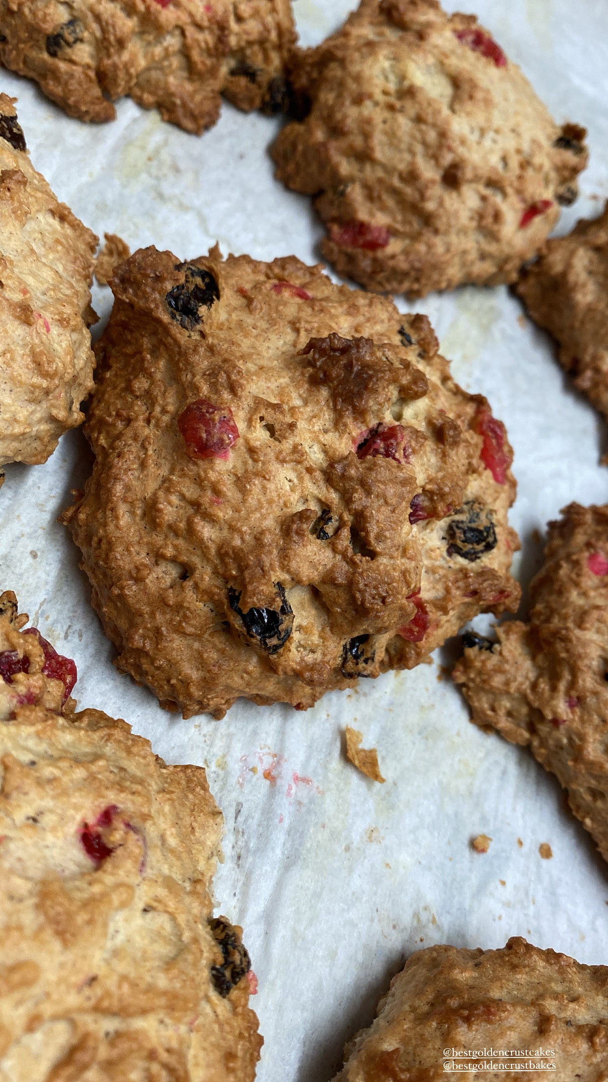 Rock cake Pack of 5
