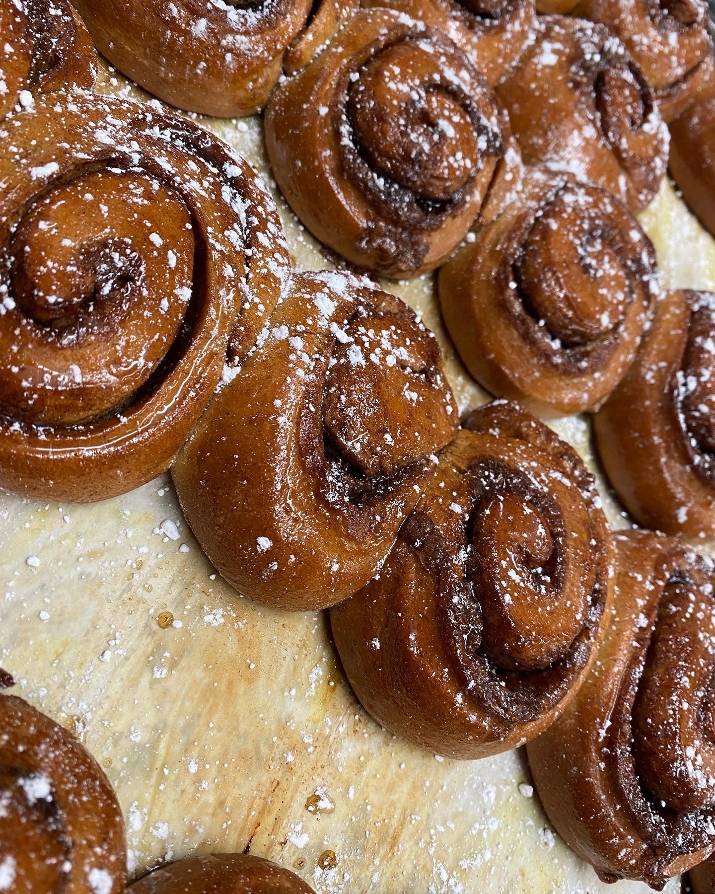 Sugar Buns Pack of 10