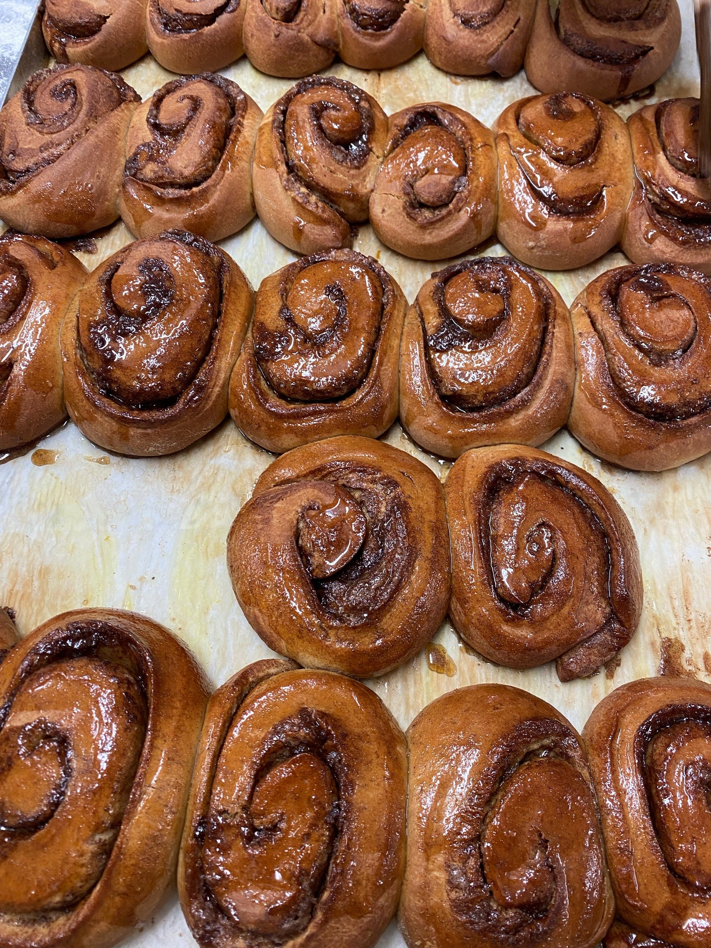 Sugar Buns Pack of 10