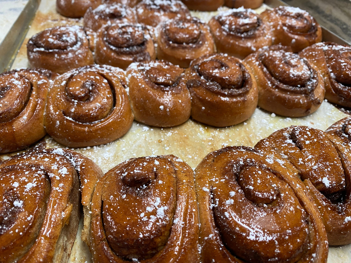 Sugar Buns Pack of 10